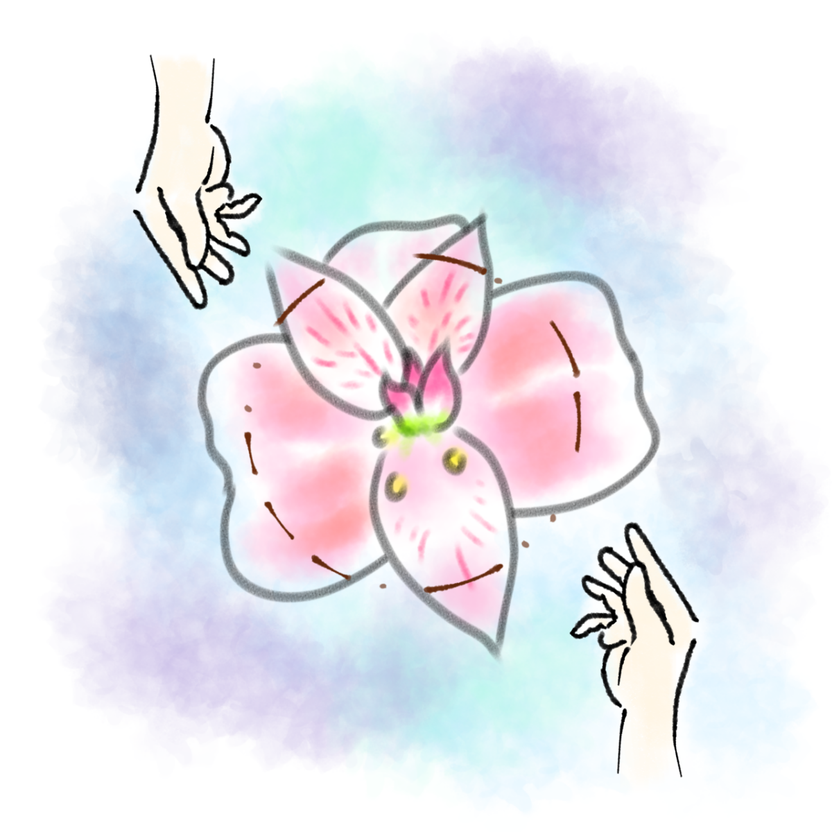 淡いピンクと白の大きな一輪の花を背景に、その中央へ向かい二人の手が近づいている
